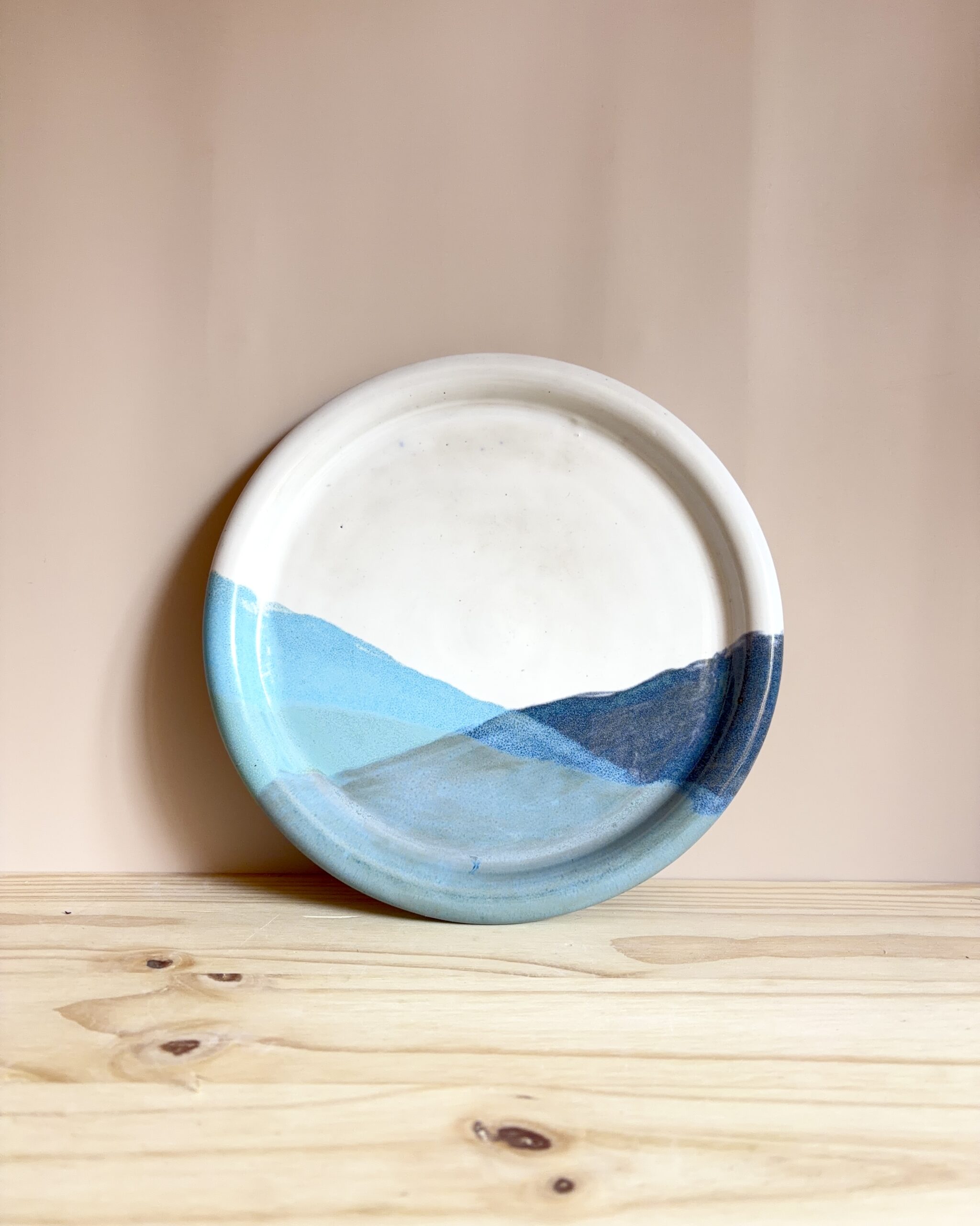 Vibrant Dinner Plates - Image 3